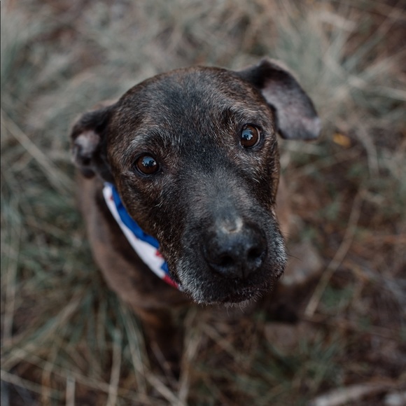 Meet your Posher, Catherine - Picture 1 of 1